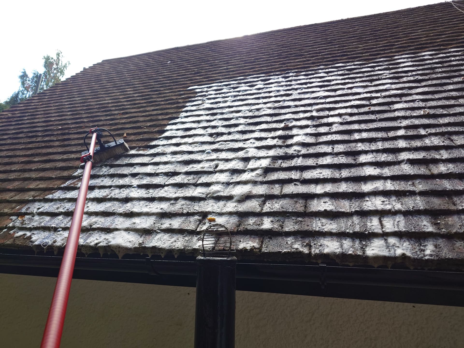 Selected gallery image