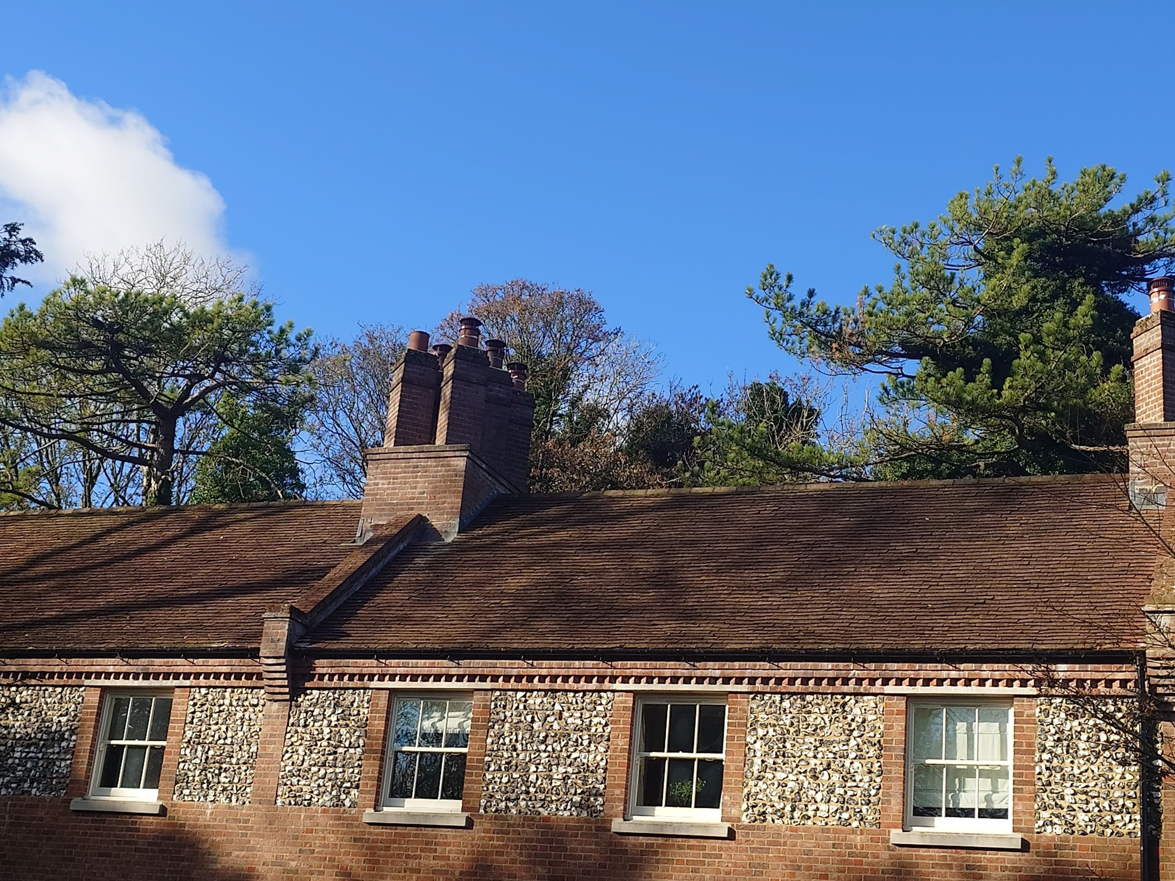 Double roof clean using Dose Demon delivery system.